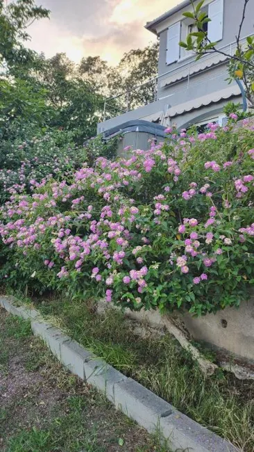 Le jardin fleuri